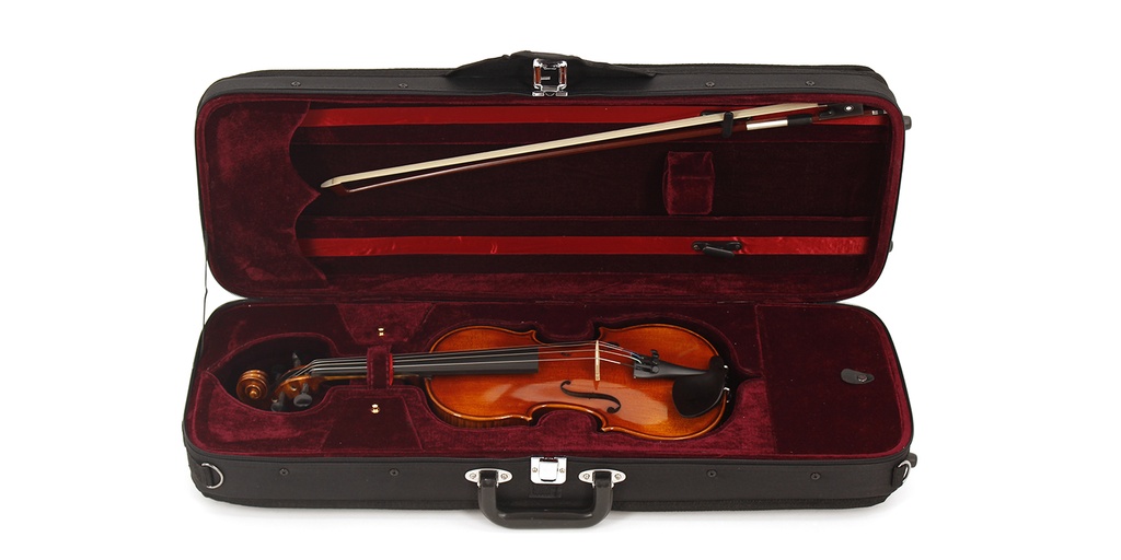 Quality Violin Outfit